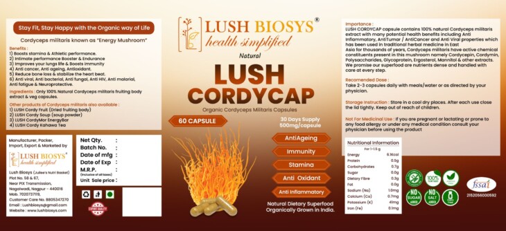 LUSH CORDYCAP (Cordyceps militaris Capsules ) - Image 3